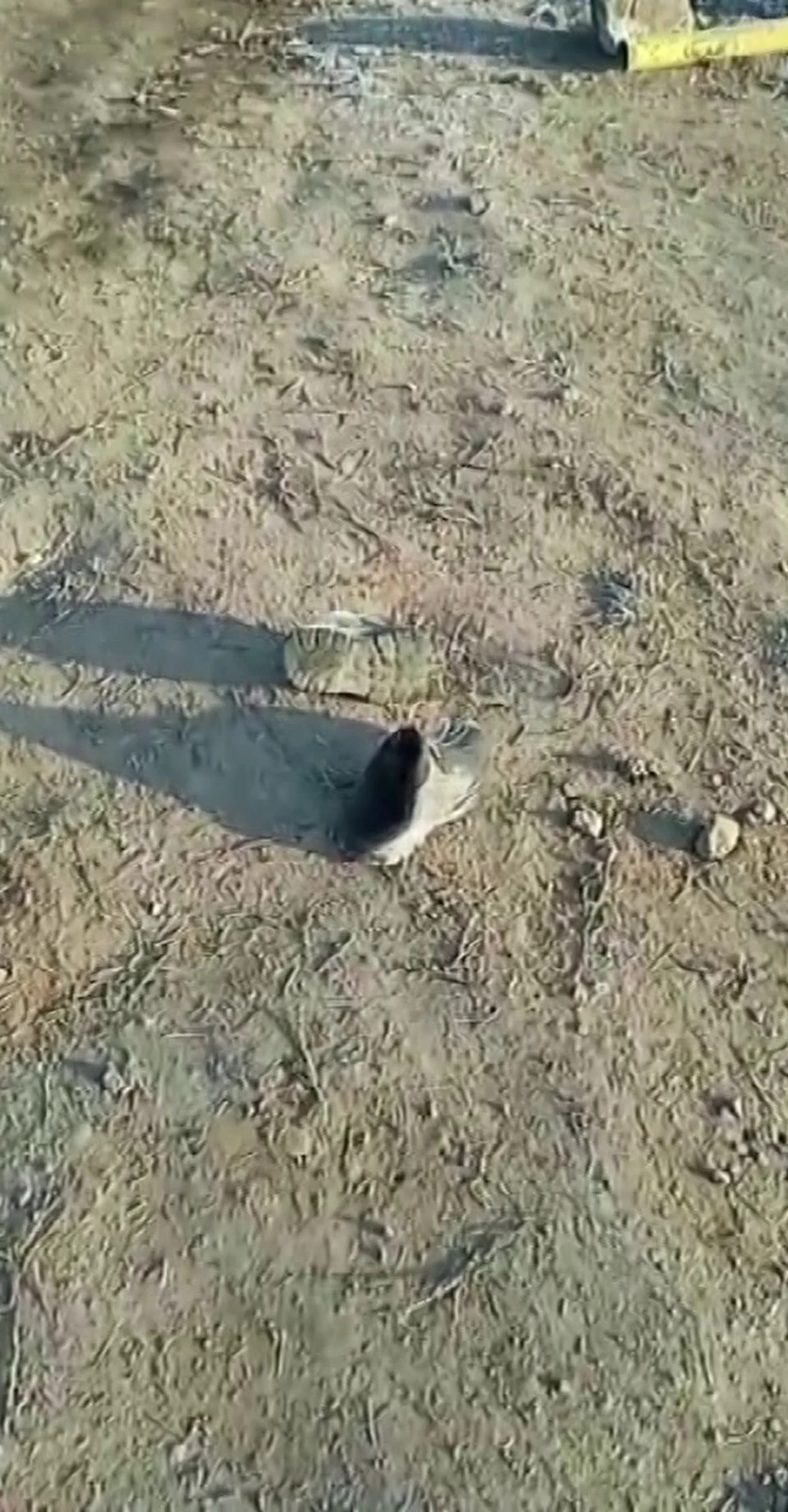 İran’da Düşen Füzenin Tır Şoförünün Öldüğü Anın Görüntüleri Ortaya Çıktı (7)