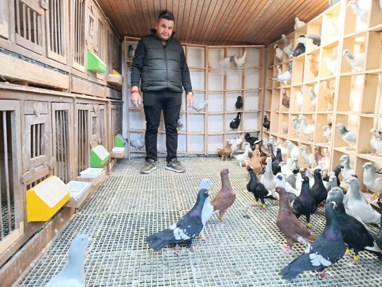 Kahramanmaraş’ta Memurluğu Bıraktı Şimdi Güvercinleri Otomobil Fiyatına Satılıyor (1)