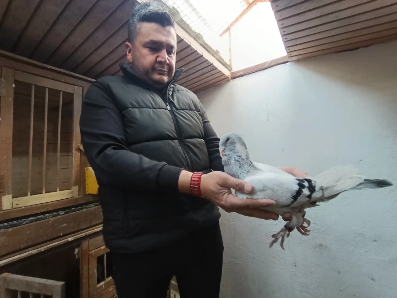 Kahramanmaraş’ta Memurluğu Bıraktı Şimdi Güvercinleri Otomobil Fiyatına Satılıyor (4)