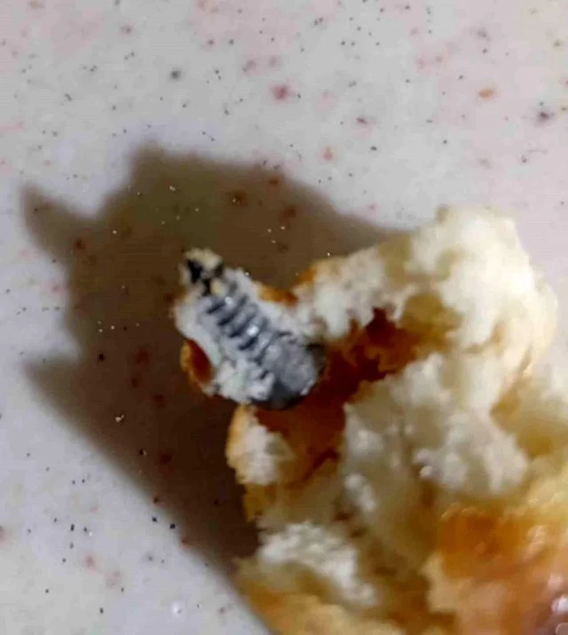 Marketten Alınan Ekmeğin İçinden Vida Çıktı-1