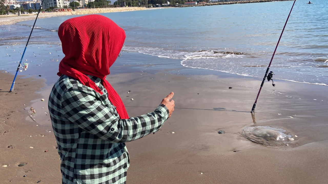 Mersin'de Denize Girecekler Dikkat! Sahilleri Zehirli Türler Bastı (5)