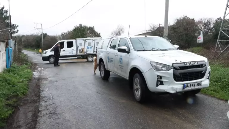 Okuldan Eve Dönen 6 Yaşındaki Çocuğa Sokak Köpekleri Saldırdı (3)