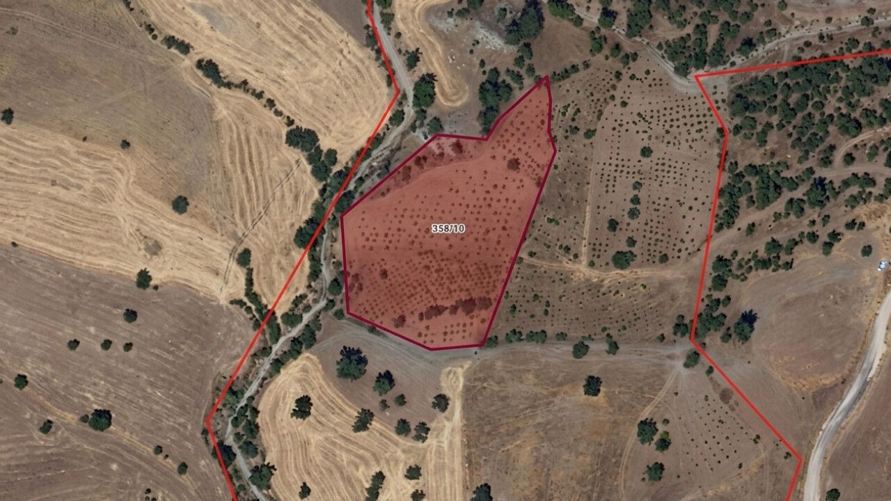 Pazarcık'ta icradan satılık dev bağ! 8 bin metrekarelik arazide badem ağaçları da var