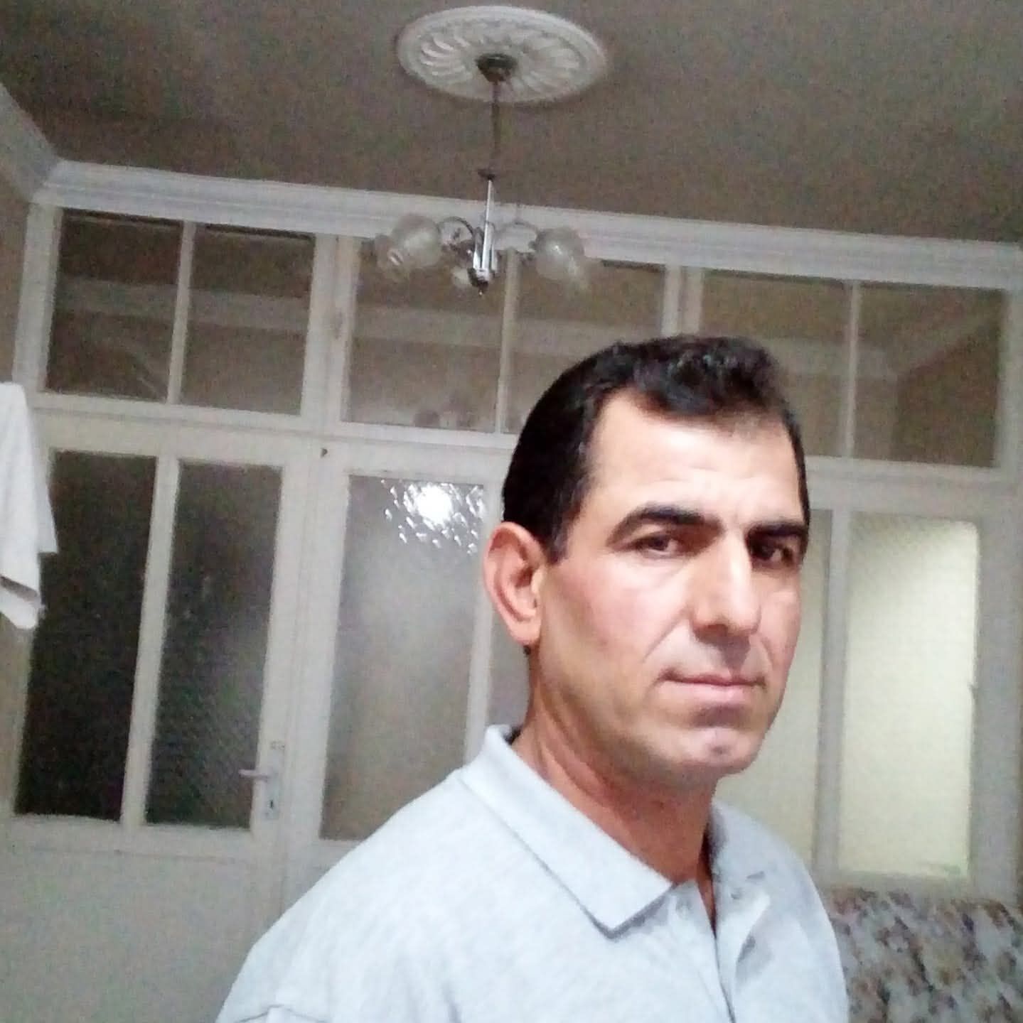 T A R T I S T I G I E S I N I B O G D U 1198547 356424