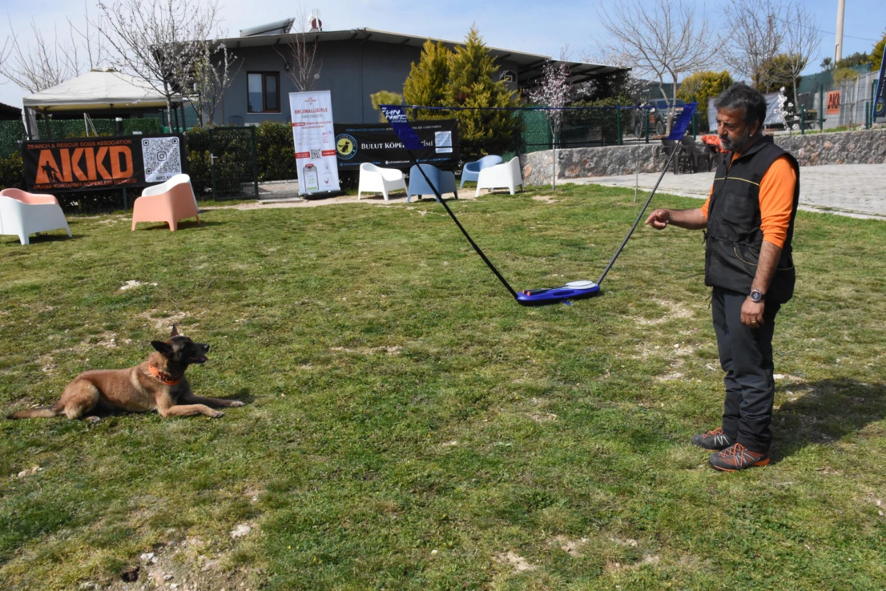 Türkiye’de Arama Kurtarma Köpekleri Için Kritik Uyarı Sayı Artırılmalı (6)