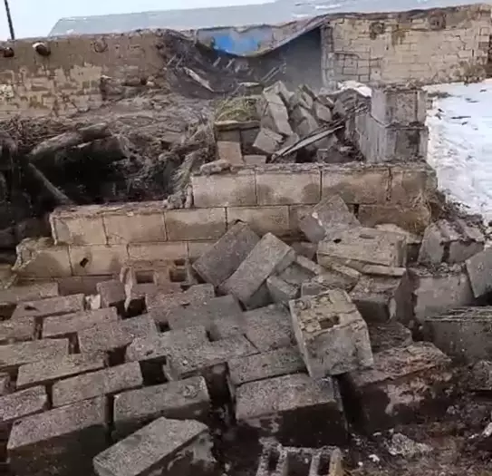 Van'da Ahır Çöktü; 20 Küçükbaş Öldü (1)