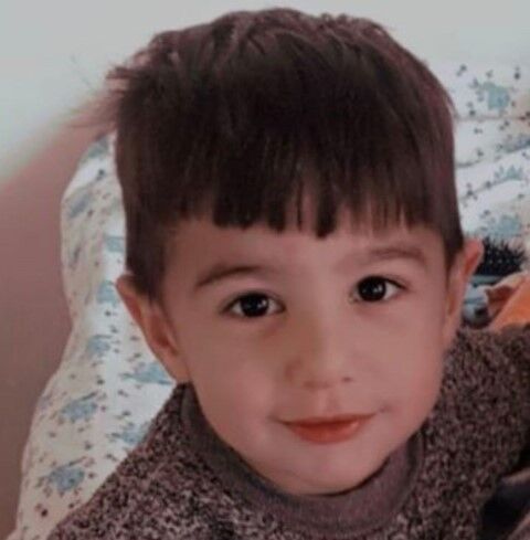 Van’daki köpek dehşetinde kan donduran detaylar