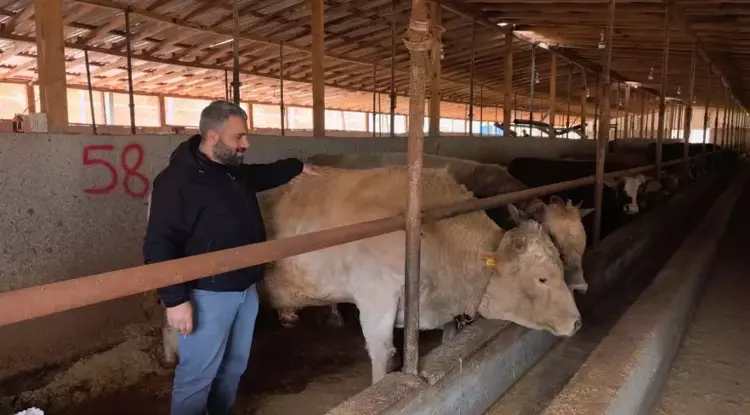 1,1 Tonluk ‘Paşa’ 500 Bin Tl’ye Alıcısını Bekliyor (2)