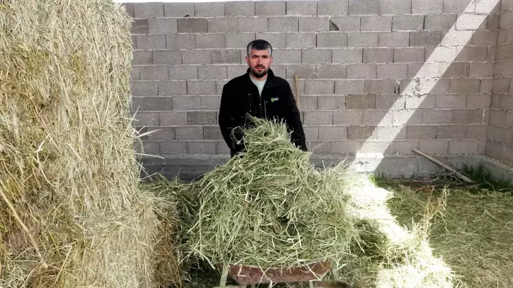 80 Bin Lira Maaşa Çoban Bulamıyorlar (2)