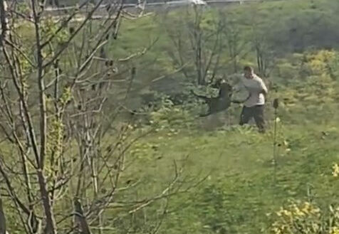 Köpeğe kemerle vuran kişi kamerada-1