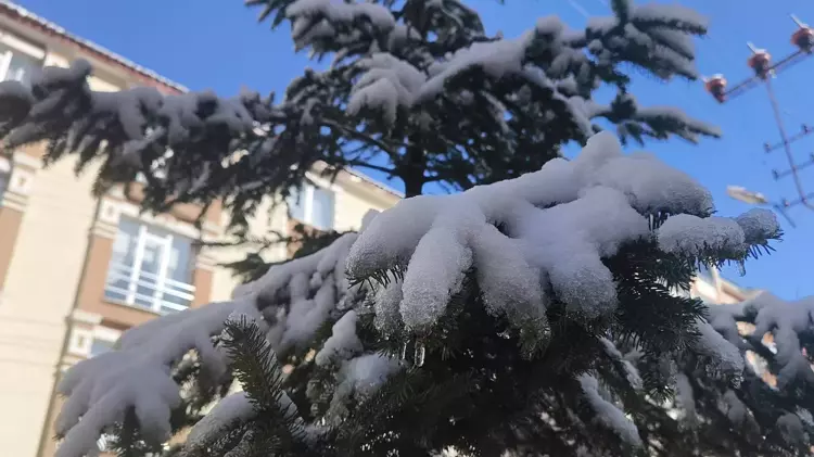 Bahar Ortasında Kar Yağdı (3)