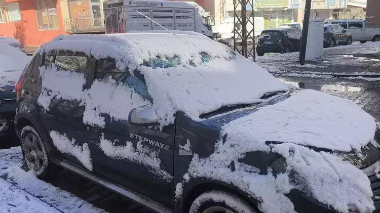 Bahar Ortasında Kar Yağdı (4)