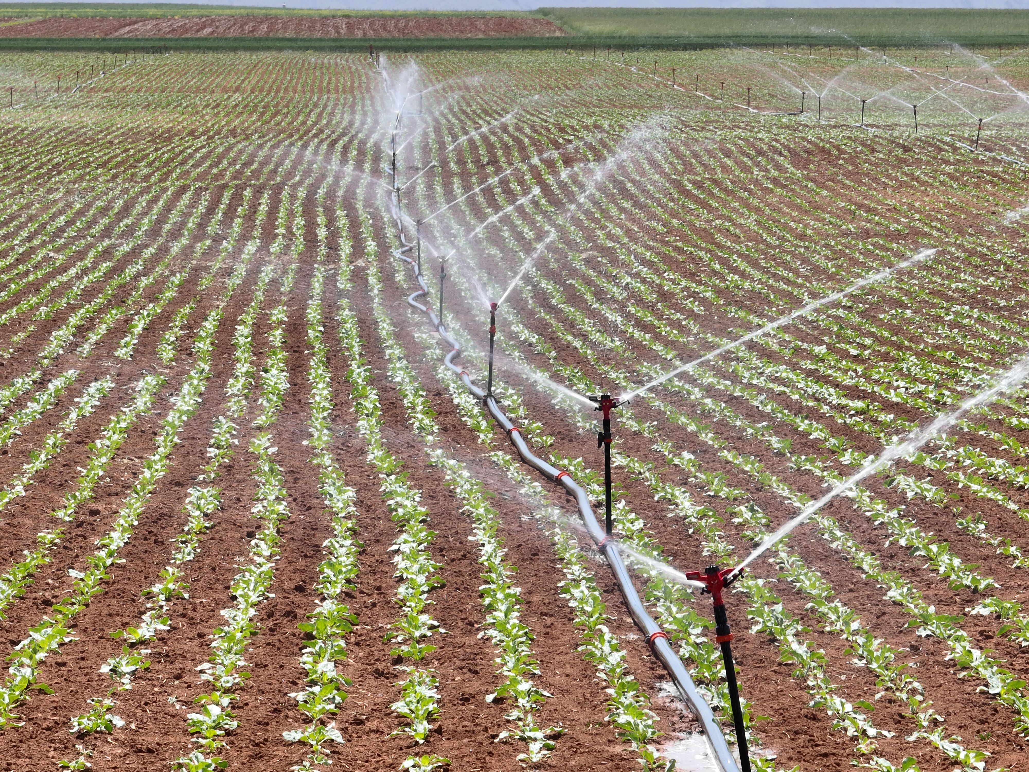 Dsi̇ Rakamları Açıkladı Kahramanmaraş’a Milyarlarca Liralık Yatırım (4)