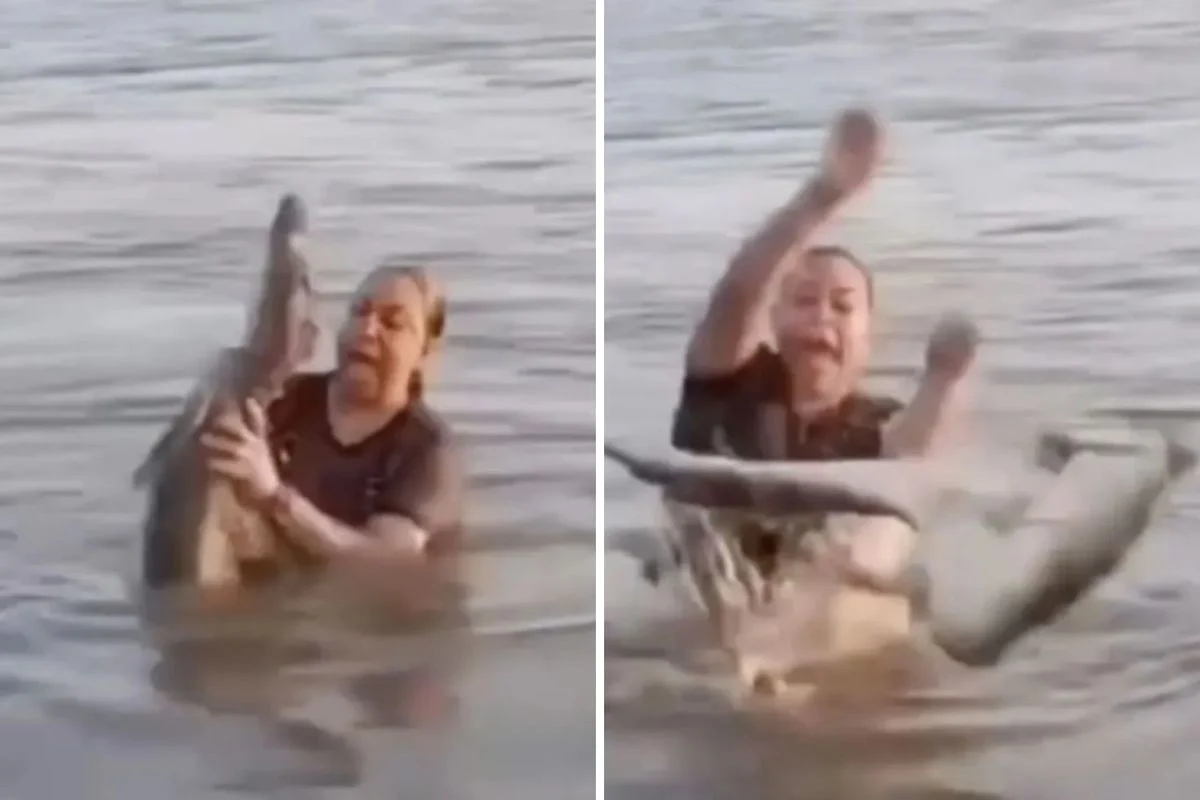 Elini Attı, Dehşeti Yaşadı! Kütük Diye Timsaha Dokundu