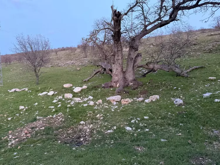 Gizli Tanığın Ifadesi Sonrası Gülistan Doku, 18 Noktada 40 Kilometrelik Alanda Arandı (1)