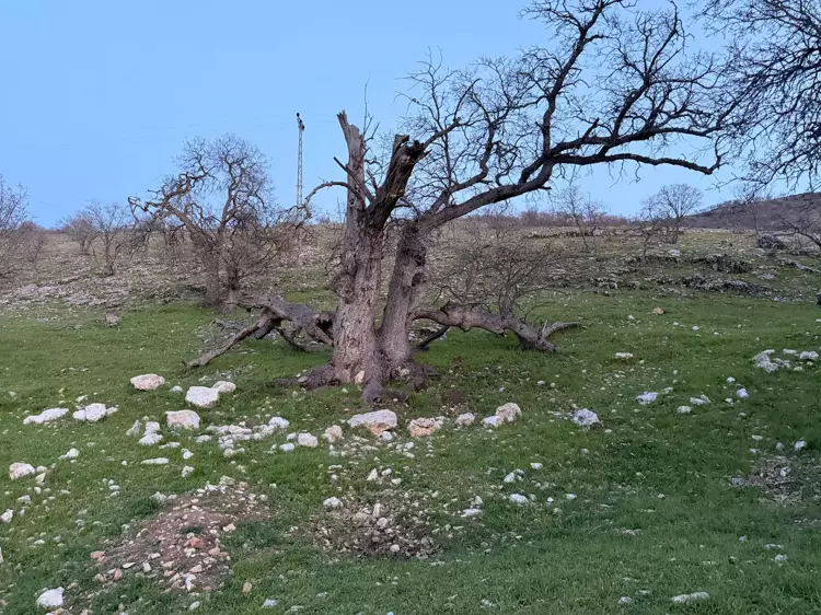 Gizli Tanığın Ifadesi Sonrası Gülistan Doku, 18 Noktada 40 Kilometrelik Alanda Arandı (2)