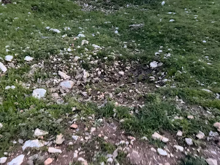 Gizli Tanığın Ifadesi Sonrası Gülistan Doku, 18 Noktada 40 Kilometrelik Alanda Arandı (3)