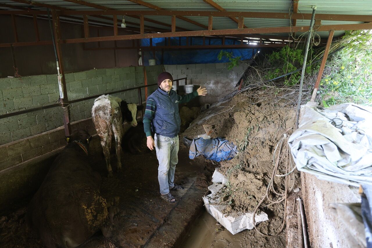Hatay’da Heyelan Ahırın Kapısını Kapattı Hayvanlar Mahsur Kaldı (4)
