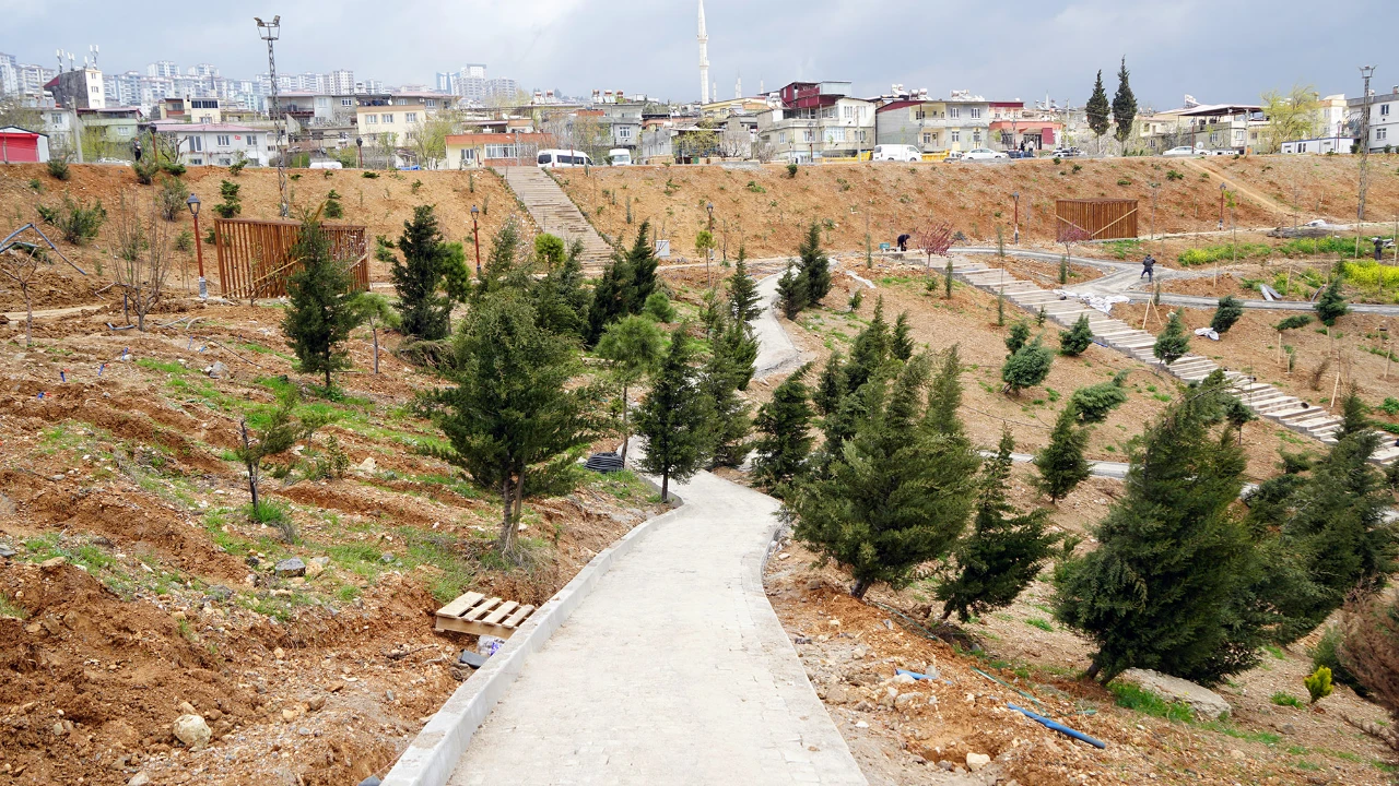 Kahramanmaraş'a 75 Bin Metrekarelik Karbon Yutak Alanı Geliyor! (2)