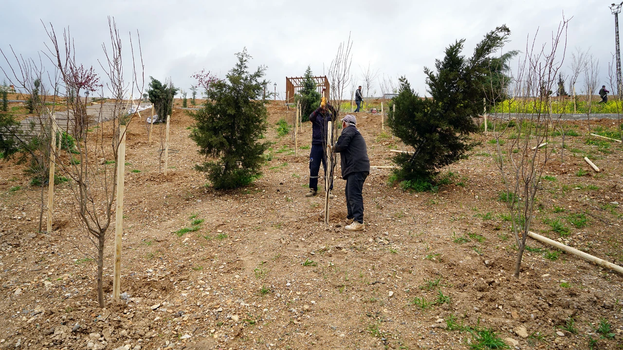 Kahramanmaraş'a 75 Bin Metrekarelik Karbon Yutak Alanı Geliyor! (4)