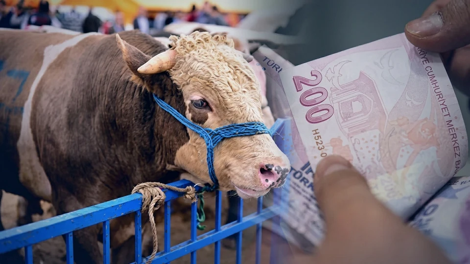 Kahramanmaraş’ta 2026 Kurbanlık Canlı Kilo Fiyatları Açıklandı