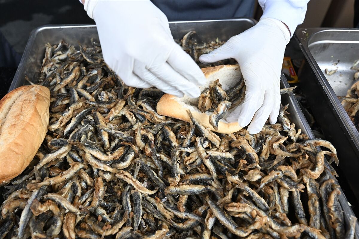 Kahramanmaraş'ta 5 ton hamsi ücretsiz dağıtılacak