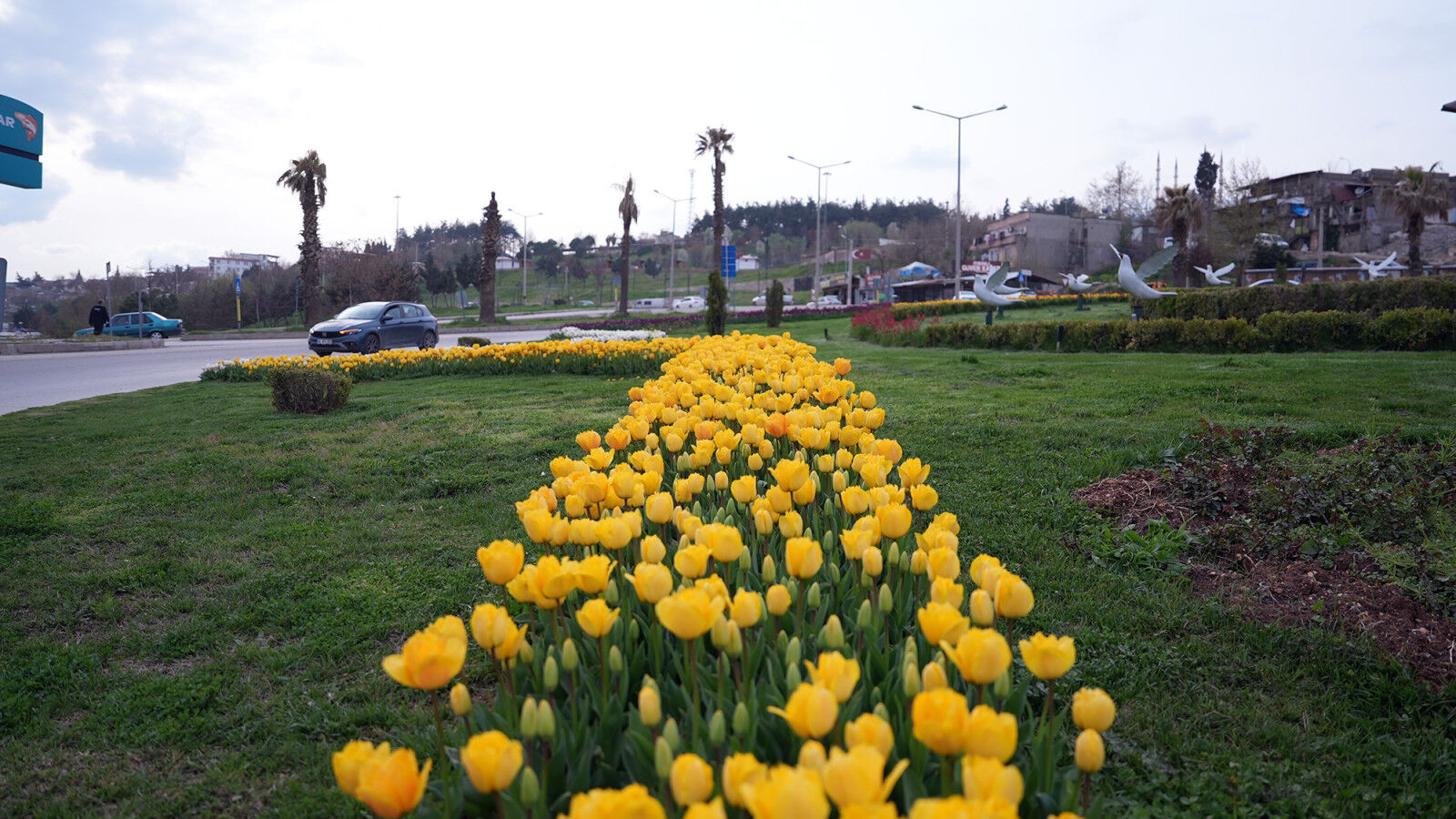 Kahramanmaraş’ta Kavşaklar Rengârenk Çiçeklerle Donandı (4)