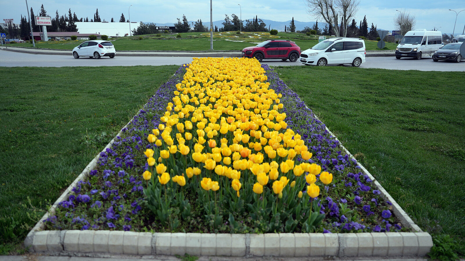 Kahramanmaraş’ta Kavşaklar Rengârenk Çiçeklerle Donandı (7)