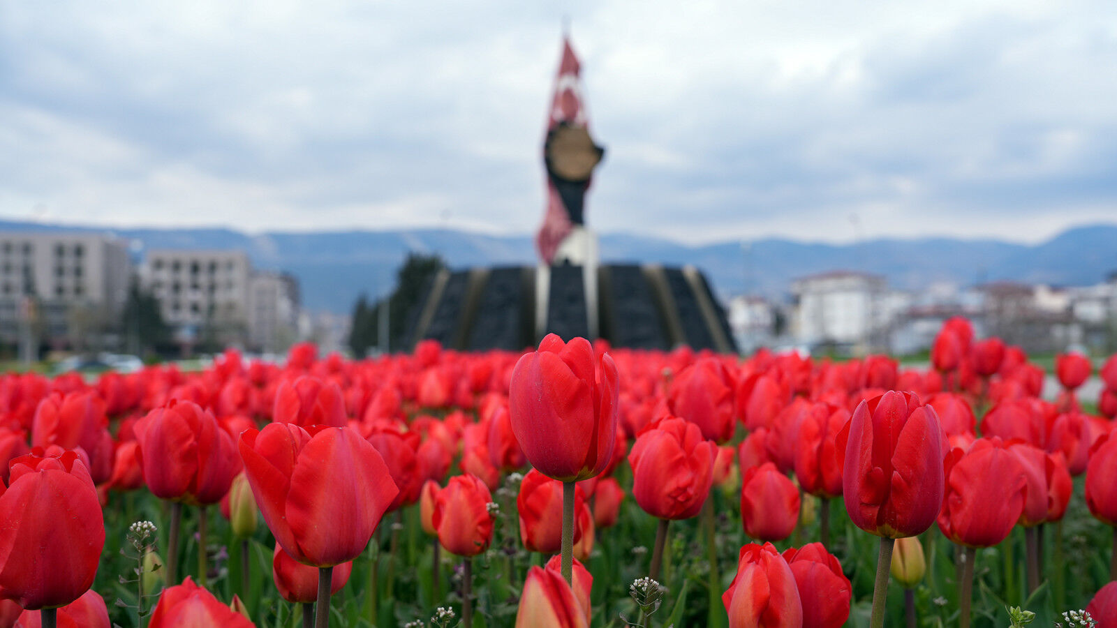 Kahramanmaraş’ta Kavşaklar Rengârenk Çiçeklerle Donandı (9)