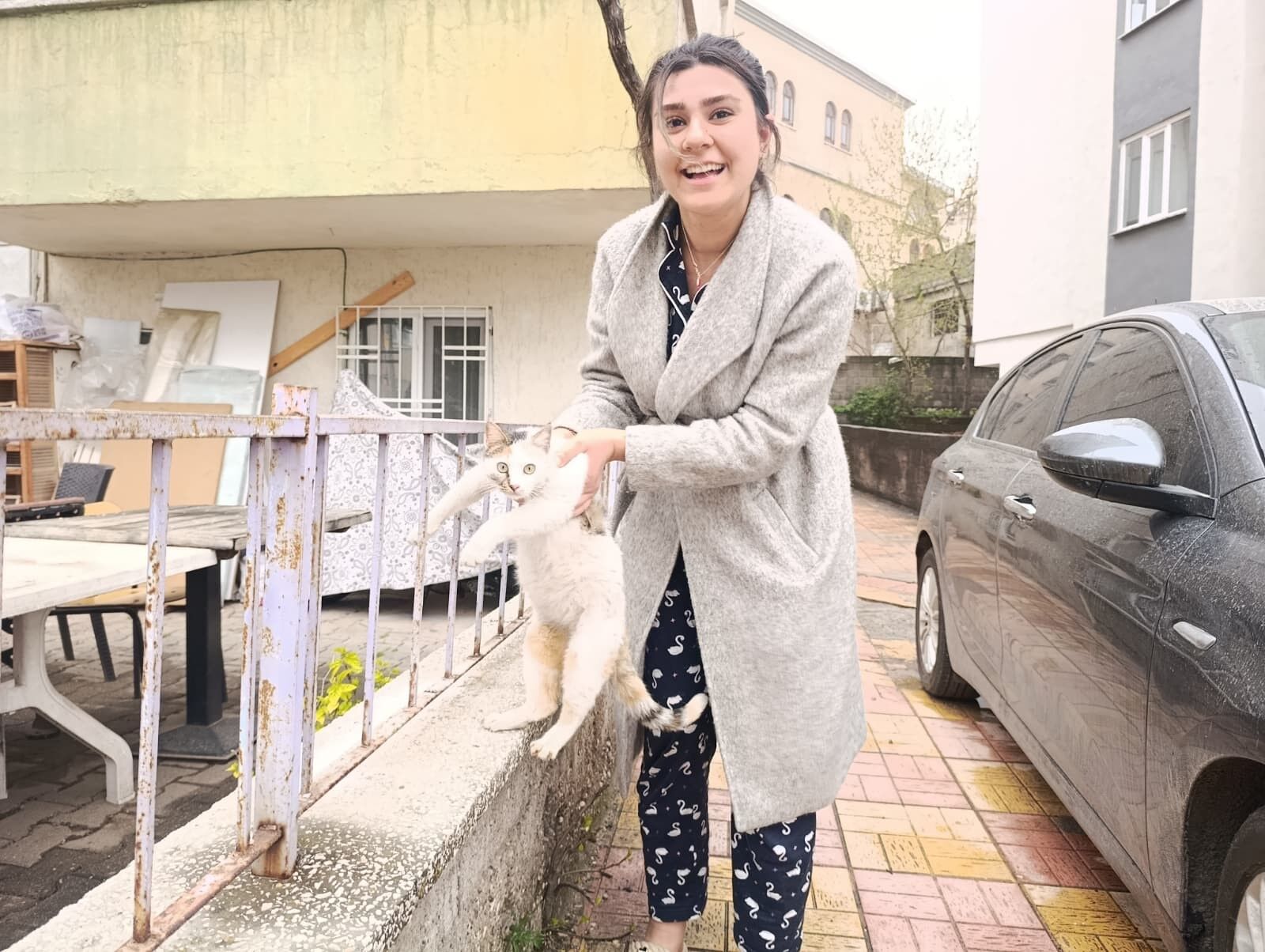 Kahramanmaraş’ta Üşüyen Ve Aç Kalan Hamile Kedi Ekipler Tarafından Kurtarıldı (2)