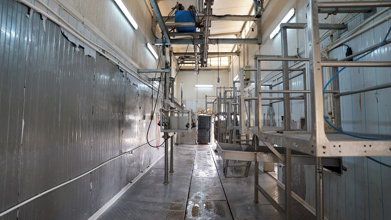 Kahramanmaraş’ta Yeni Kesimhane Ile Aynı Anda 30 Hayvan Kesilebilecek (3)