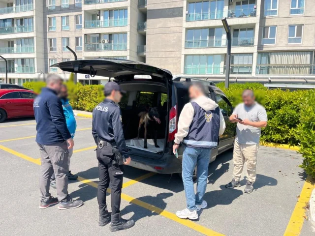 Köpeğe Acımasızca Işkence Eden Şahıs Kıskıvrak Yakalandı (1)