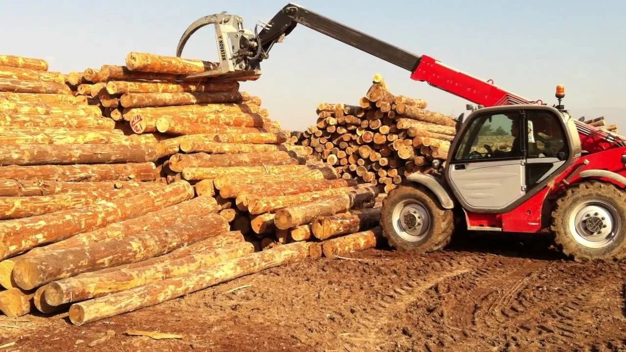 Orman Ürünleri Kesme Tomruklama, Sürütme, Yükleme Ve Taşıma Hizmeti Alınacaktır