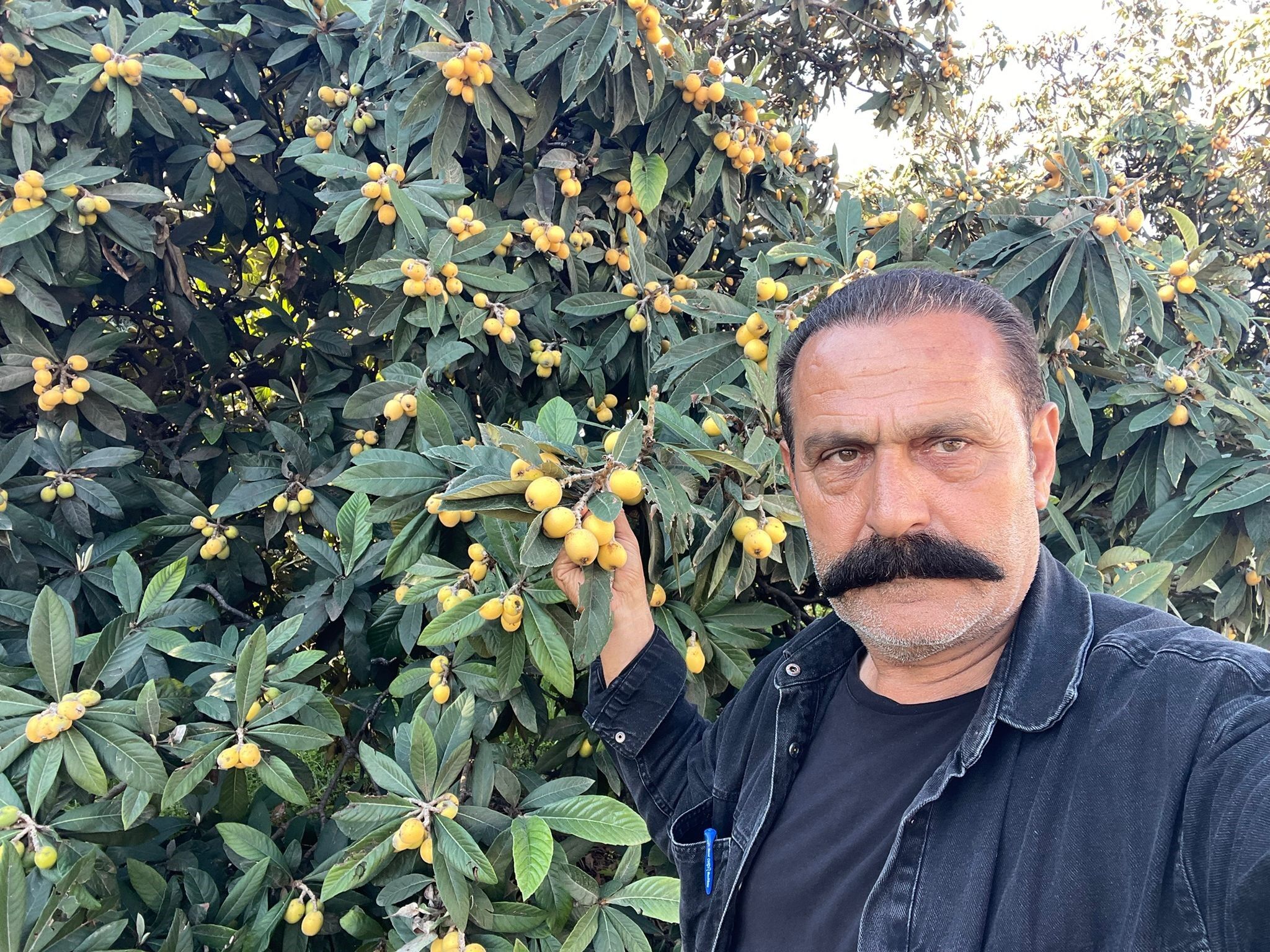 Poşetini Alan Bahçeye Koştu Meyveler Bedava Dağıtıldı (1)