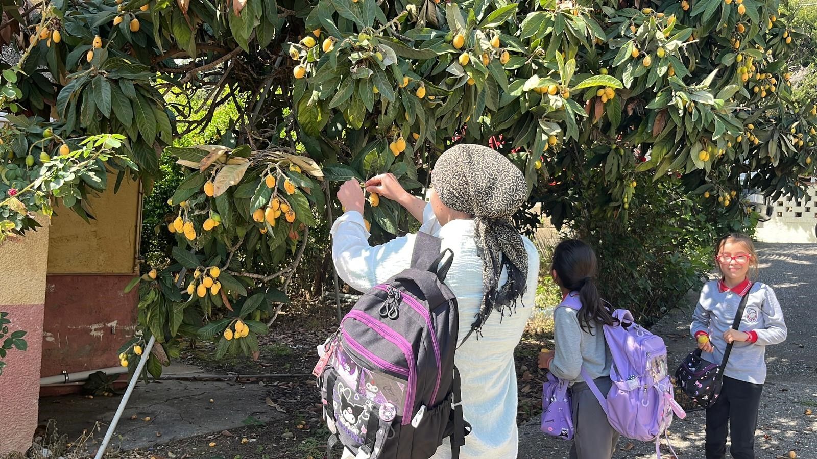 Poşetini Alan Bahçeye Koştu Meyveler Bedava Dağıtıldı (3)