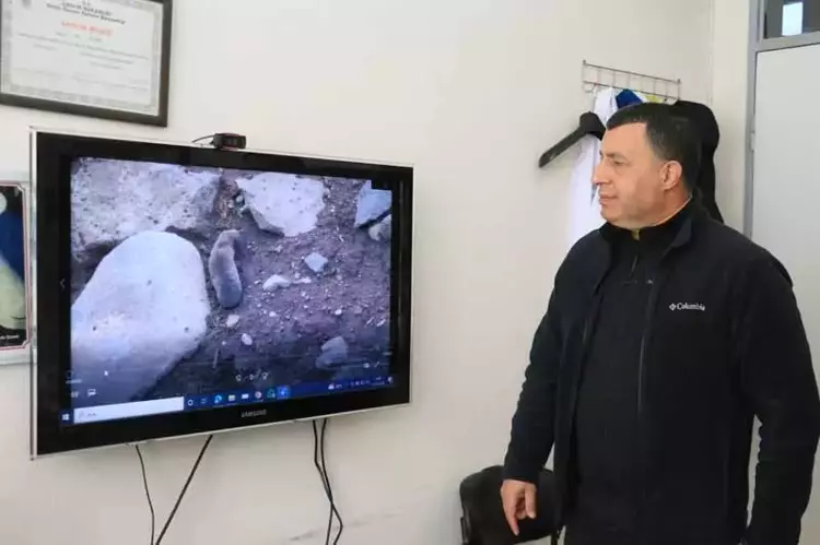 Şiddetli Yağışlar Yer Altındaki Kör Fareleri Yeryüzüne Çıkardı (1)