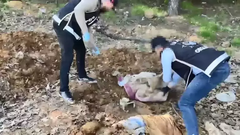 Toprağın Altından Cephanelik Çıktı Binlerce Silah Parçası Ele Geçirildi (2)