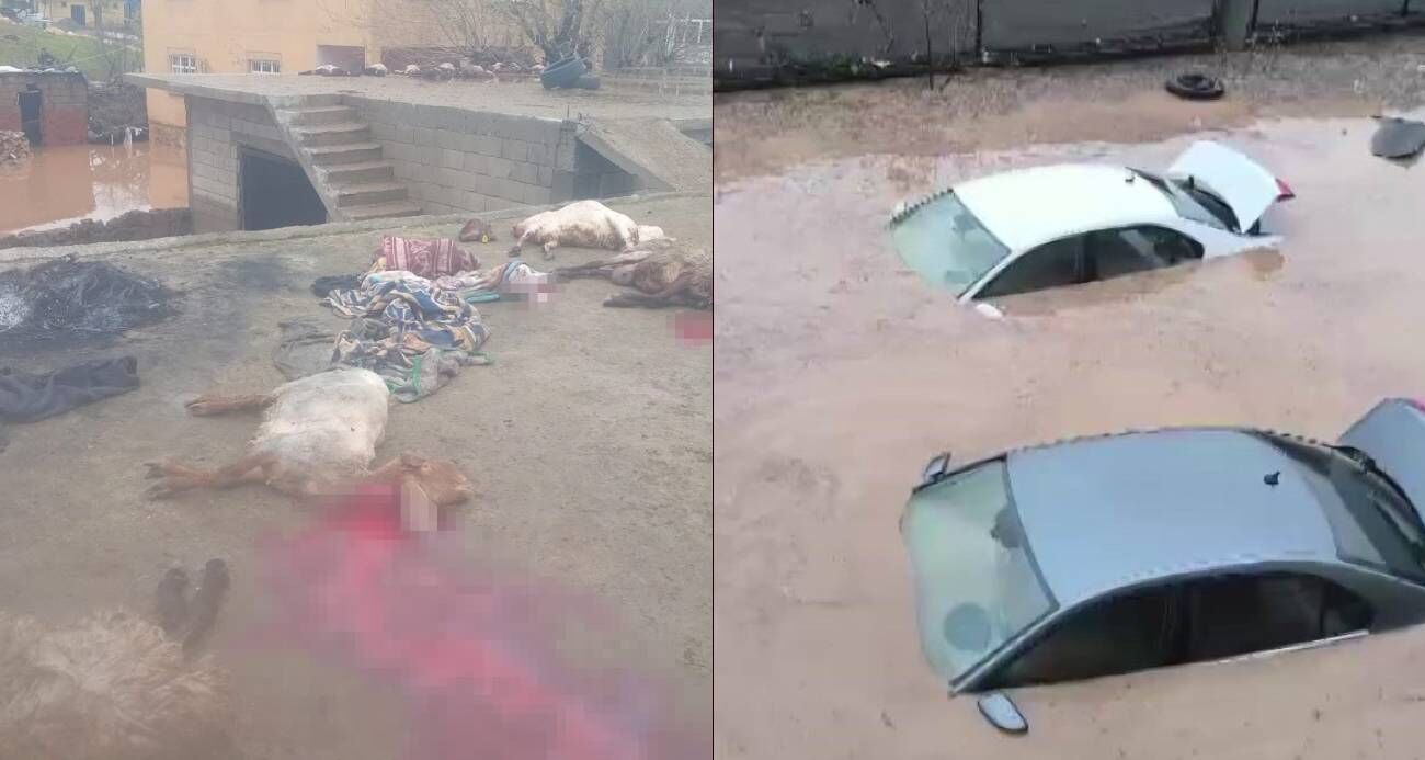 Araçlar sel sularında kayboldu, onlarca hayvan telef oldu