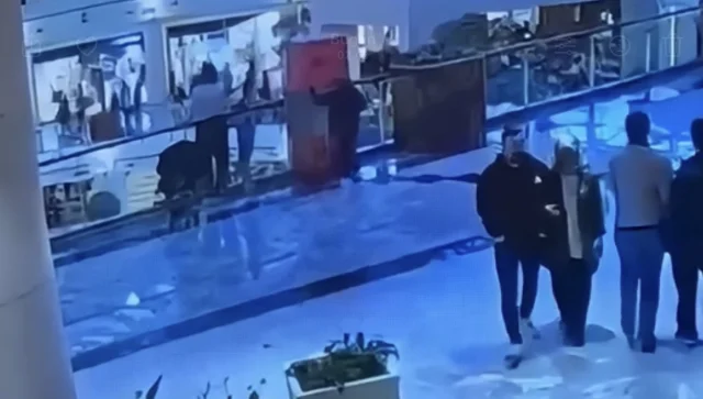 Avm’de Çanta Çalan 10 Yaşındaki Çocuğun 92 Suç Kaydı Çıktı (1)-1