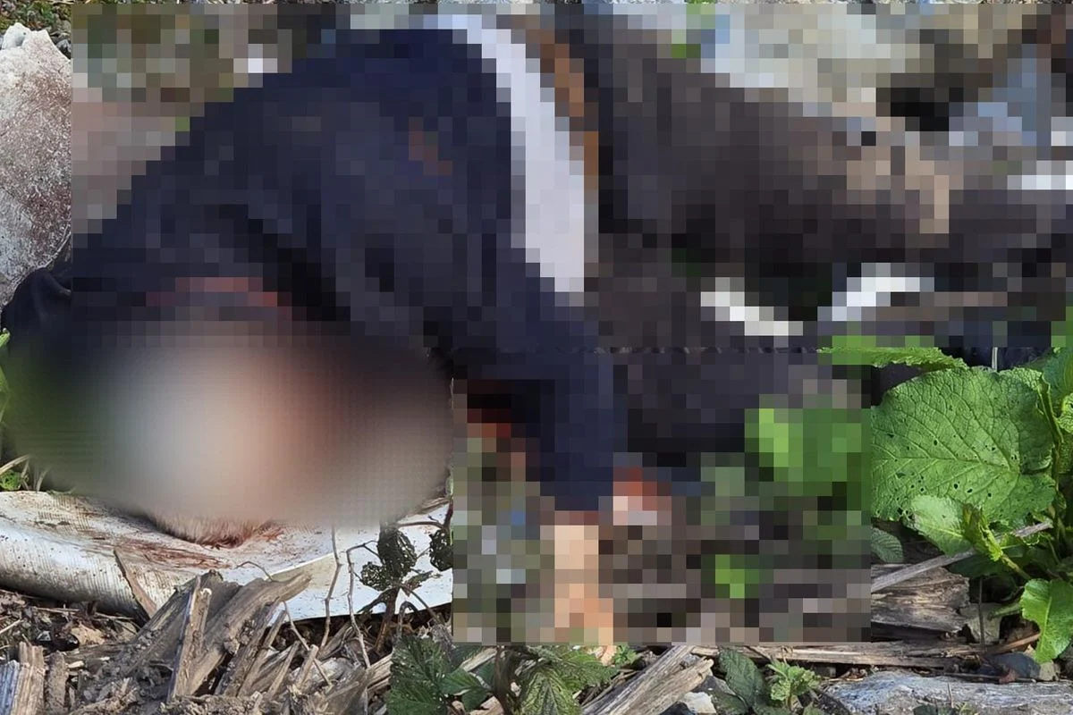 Başından Vurulmuştu: 67 Yaşındaki Adamın Katili Yakalandı
