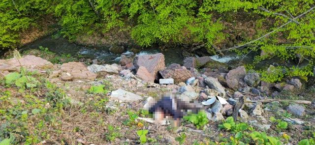 Başından Vurulmuştu 67 Yaşındaki Adamın Katili Yakalandı (2)