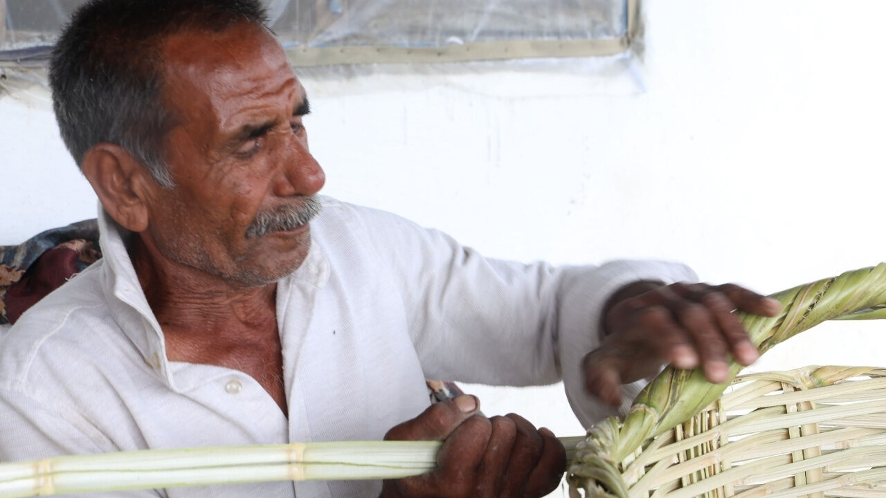 Bir Zamanlar Pazarlarda Kapış Kapış Satılıyordu! Şimdi Unutuluyor (1)