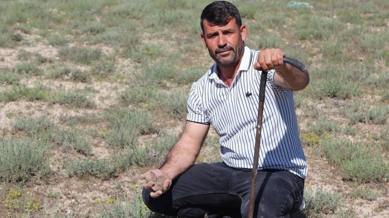 Elindeki demirle günde 60 bin lira buluyor! Mantar toplayarak ev ve araba aldı!