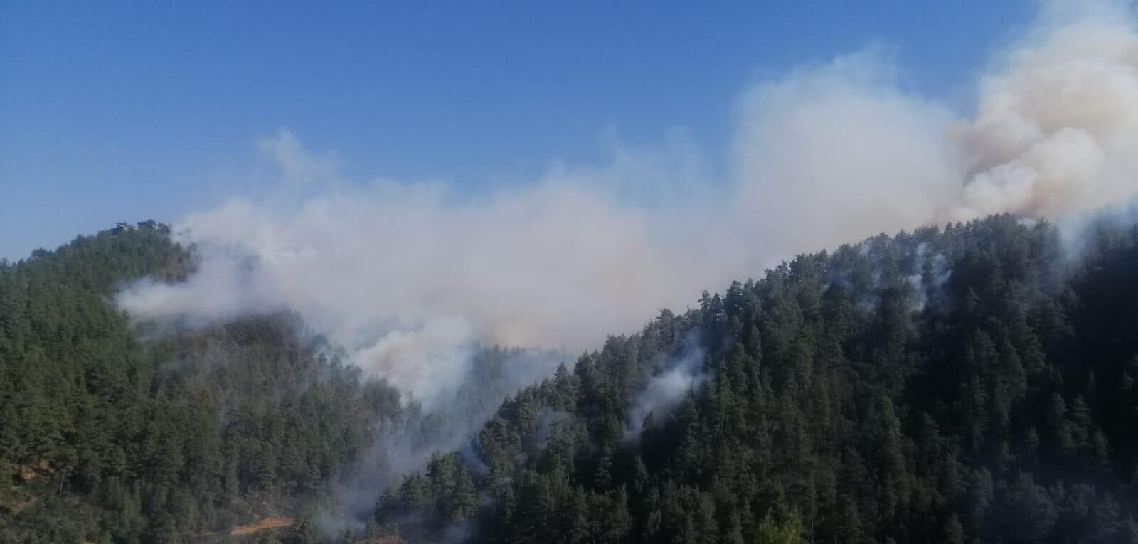 Kahramanmaraş’ta 92 Hektar Ormanı Yakan Torpil Olayına 5 Yıl 6 Ay Ceza (5)
