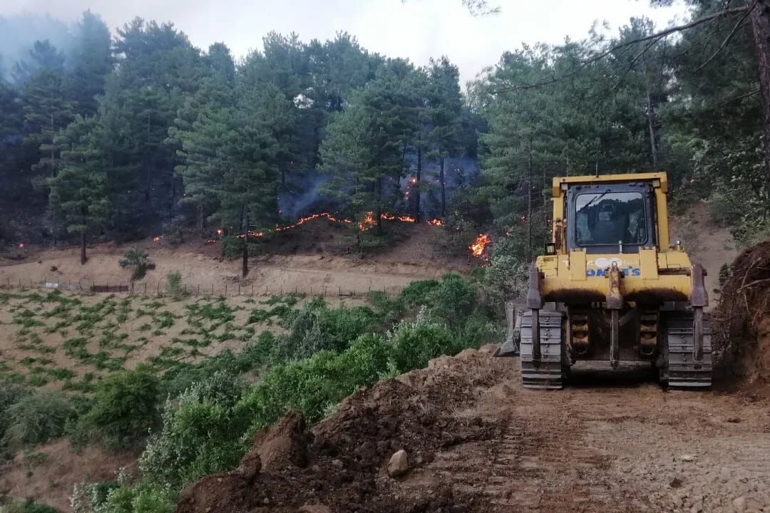 Kahramanmaraş’ta 92 Hektar Ormanı Yakan Torpil Olayına 5 Yıl 6 Ay Ceza (6)
