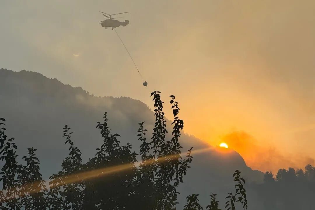 Kahramanmaraş’ta 92 Hektar Ormanı Yakan Torpil Olayına 5 Yıl 6 Ay Ceza (7)