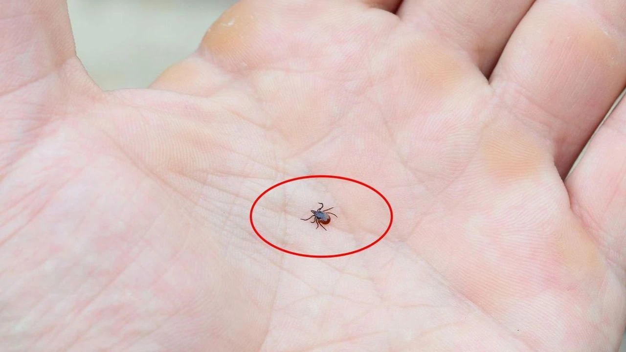 Kahramanmaraş’ta Mesire Alanlarına Gidenler Dikkat Uyarı Yapılı (1)-1
