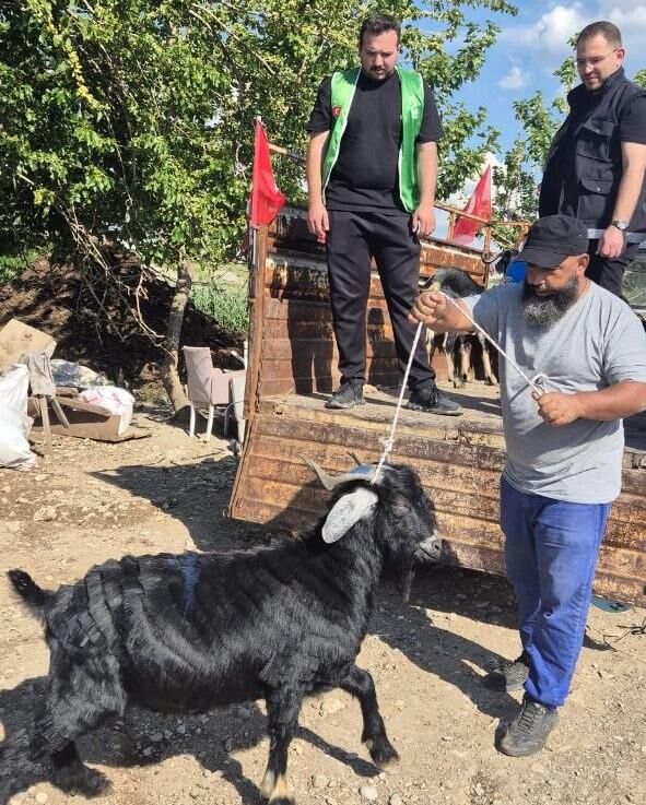Kahramanmaraş’ta Yetim Ve Depremzede Ailelere Canlı Kurbanlık Desteği Verildi (2)