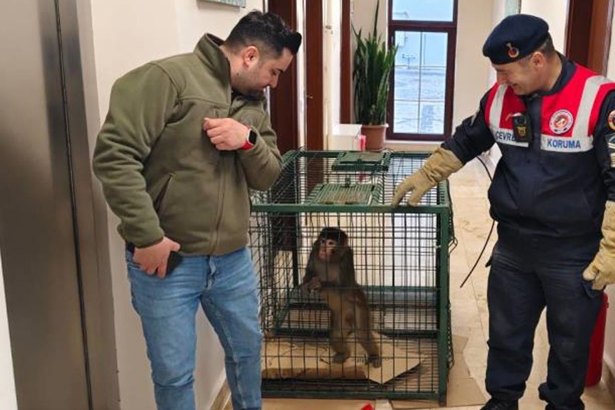 Köy Yolunda Bulundu, Herkes Şaşkına Döndü! (1)