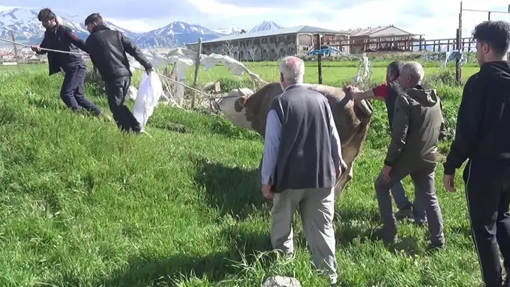 Kurban Kesimi Sırasında Feci Olay: 1 Ölü, 110 Yaralı